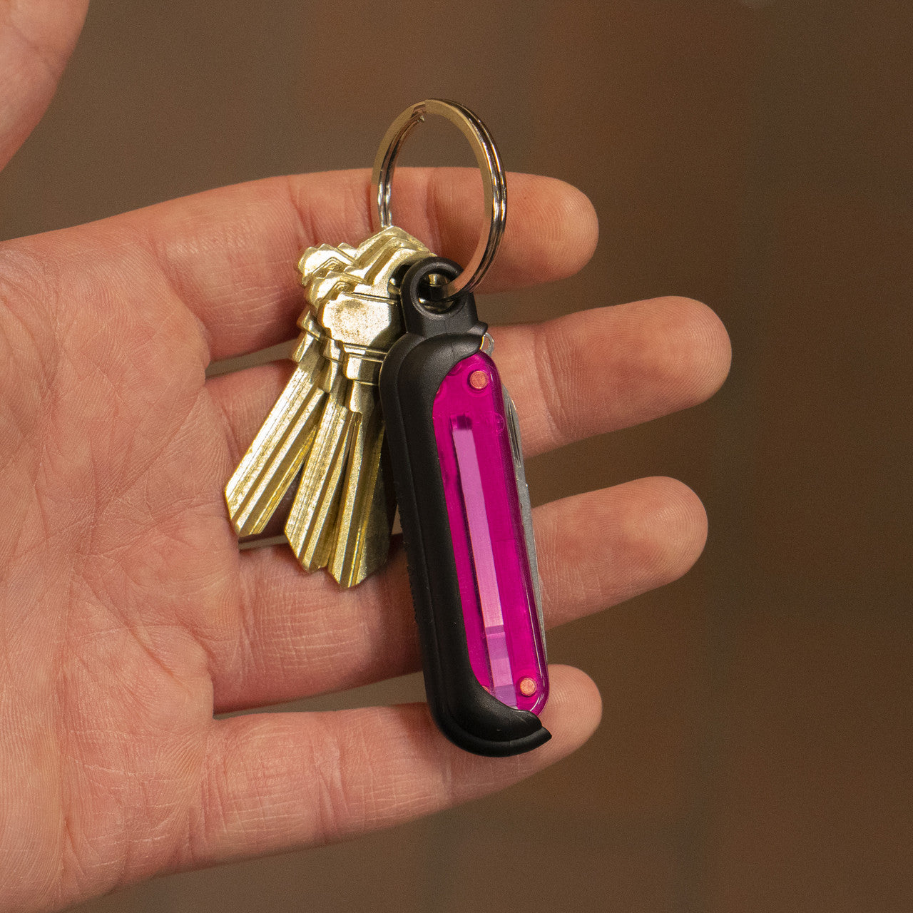 SwissLinQ - Swiss Army Knife Keychain Holder Clip & Carry