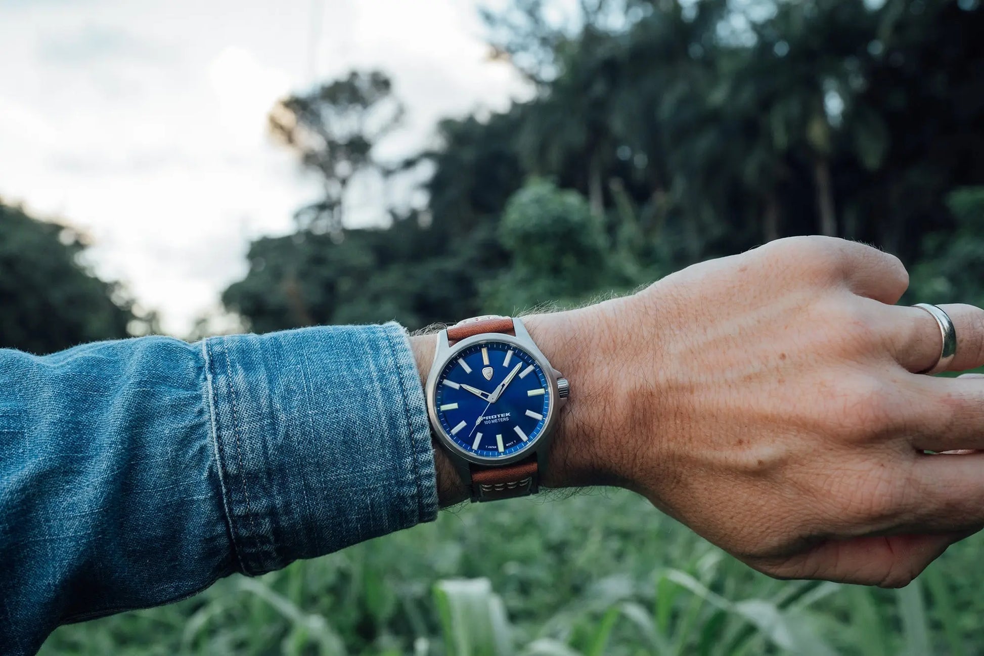 Protek Tritium Illuminated Titanium Field Watch PT3003 ProTek