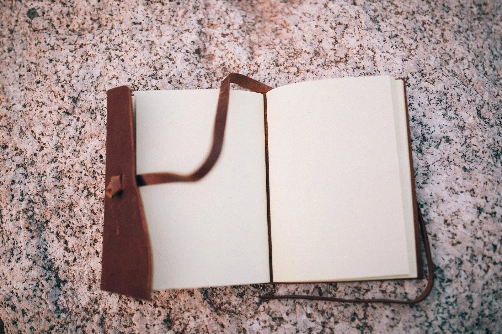 Travel Journal - Medium Kodiak Leather
